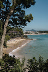 Noosa Little Cove
