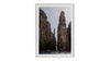 Dolerite Cliffs