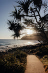 Tea Tree Bay